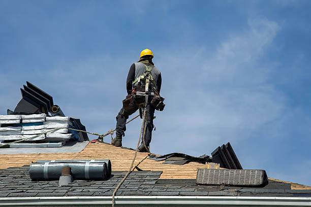 Professional Roof Replacement technician working in Pecatonica, IL